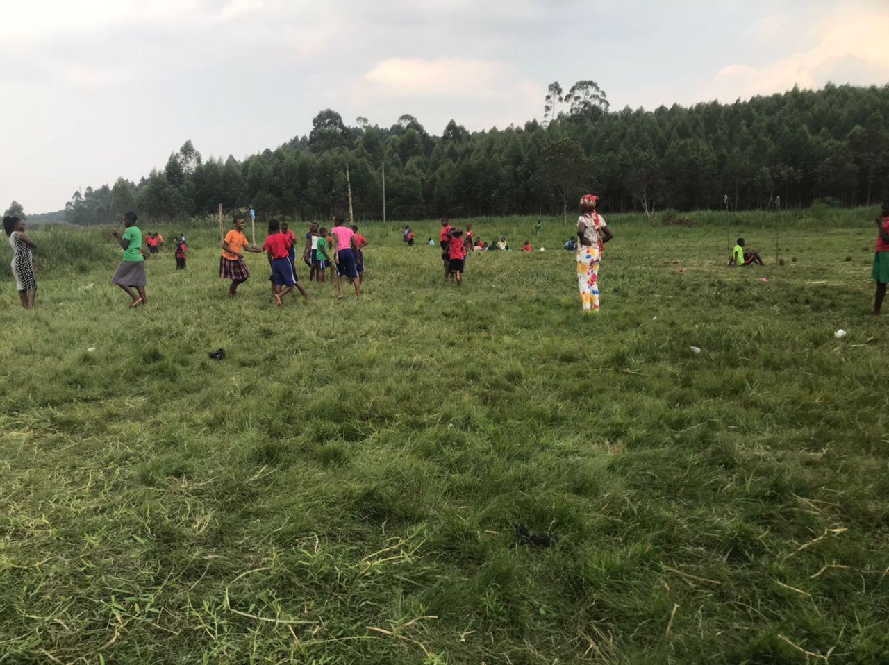 Land Project